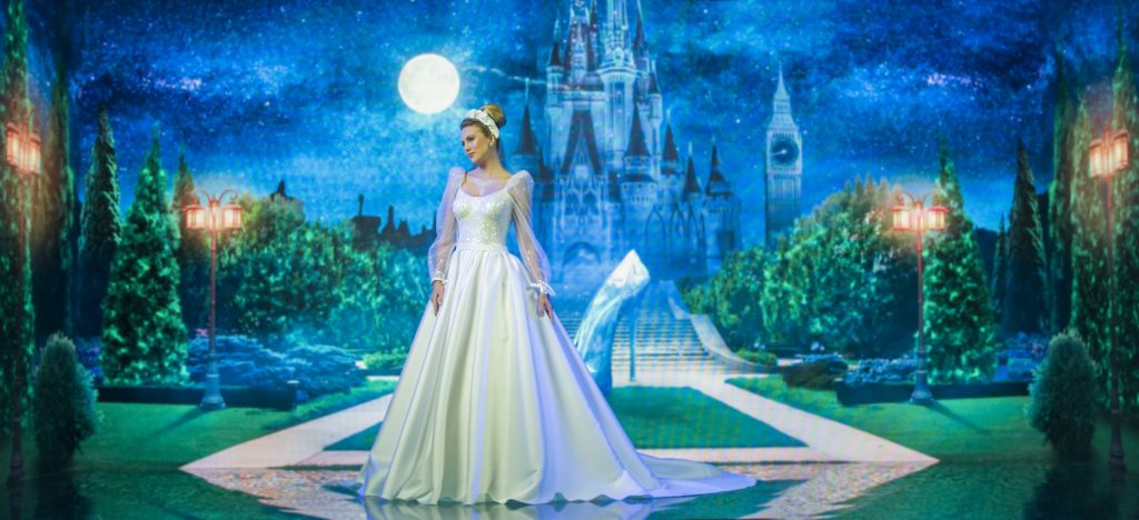 Disney Princess Wedding Collection